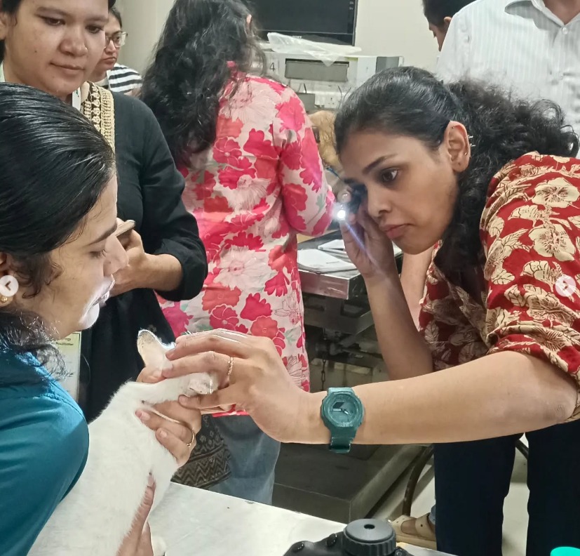 Participants Involved In Training Prgogramme On Everyday Ophthalmology Oct 2024